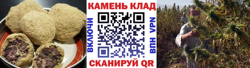 блэк спрут зеркало  Олонец  Cannafood конопля 