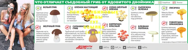 МДПВ Вязники