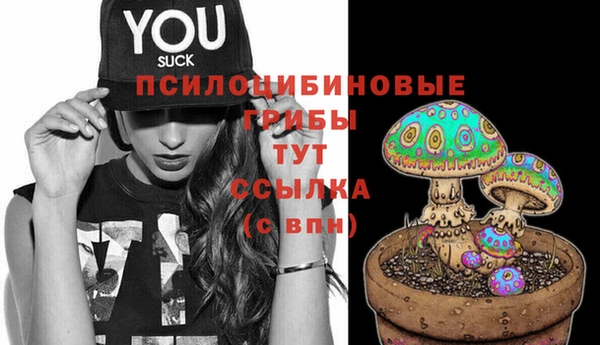 МДПВ Вязники
