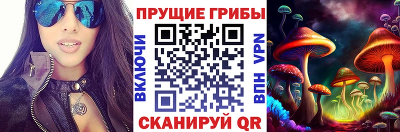 Галлюциногенные грибы Psilocybine cubensis  Олонец 
